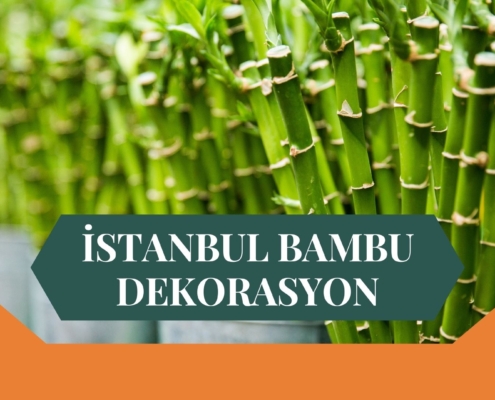 İSTANBUL BAMBU DEKORASYON, BAMBU DEKORASYON İSTANBUL, YAPAY BAMBU DEKORASYON İSTANBUL, İSTANBUL HASIR BAMBU DEKORASYON, HASIR BAMBU DEKORASYON İSTANBUL, İSTANBUL YAPAY BAMBU DEKORASYON, İSTANBUL BAMBU EV DEKORASYON, BAMBU EV DEKORASYON İSTANBUL