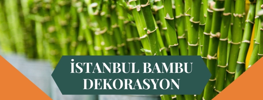 İSTANBUL BAMBU DEKORASYON, BAMBU DEKORASYON İSTANBUL, YAPAY BAMBU DEKORASYON İSTANBUL, İSTANBUL HASIR BAMBU DEKORASYON, HASIR BAMBU DEKORASYON İSTANBUL, İSTANBUL YAPAY BAMBU DEKORASYON, İSTANBUL BAMBU EV DEKORASYON, BAMBU EV DEKORASYON İSTANBUL