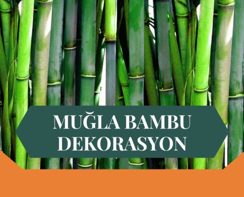 MUĞLA BAMBU DEKORASYON, BAMBU DEKORASYON MUĞLA, YAPAY BAMBU DEKORASYON MUĞLA, MUĞLA HASIR BAMBU DEKORASYON, HASIR BAMBU DEKORASYON MUĞLA, MUĞLA YAPAY BAMBU DEKORASYON, MUĞLA BAMBU EV DEKORASYON, BAMBU EV DEKORASYON MUĞLA