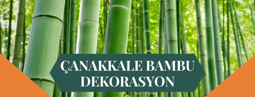 ÇANAKKALE BAMBU DEKORASYON, BAMBU DEKORASYON ÇANAKKALE, YAPAY BAMBU DEKORASYON ÇANAKKALE, ÇANAKKALE HASIR BAMBU DEKORASYON, HASIR BAMBU DEKORASYON ÇANAKKALE, ÇANAKKALE YAPAY BAMBU DEKORASYON, ÇANAKKALE BAMBU EV DEKORASYON, BAMBU EV DEKORASYON ÇANAKKALE