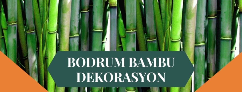 BODRUM BAMBU DEKORASYON, BAMBU DEKORASYON BODRUM, YAPAY BAMBU DEKORASYON BODRUM, BODRUM HASIR BAMBU DEKORASYON, HASIR BAMBU DEKORASYON BODRUM, BODRUM YAPAY BAMBU DEKORASYON, BODRUM BAMBU EV DEKORASYON, BAMBU EV DEKORASYON BODRUM