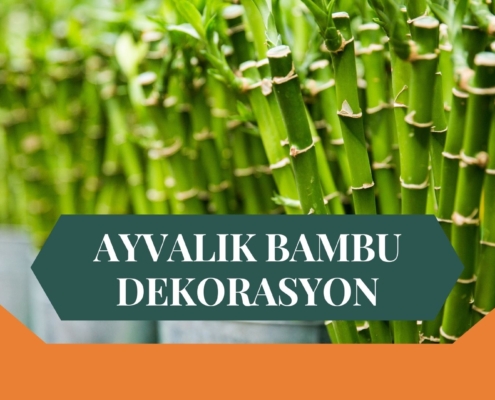 AYVALIK BAMBU DEKORASYON, BAMBU DEKORASYON AYVALIK, YAPAY BAMBU DEKORASYON AYVALIK, AYVALIK HASIR BAMBU DEKORASYON, HASIR BAMBU DEKORASYON AYVALIK, AYVALIK YAPAY BAMBU DEKORASYON, AYVALIK BAMBU EV DEKORASYON, BAMBU EV DEKORASYON AYVALIK