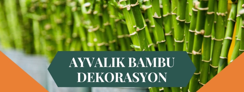 AYVALIK BAMBU DEKORASYON, BAMBU DEKORASYON AYVALIK, YAPAY BAMBU DEKORASYON AYVALIK, AYVALIK HASIR BAMBU DEKORASYON, HASIR BAMBU DEKORASYON AYVALIK, AYVALIK YAPAY BAMBU DEKORASYON, AYVALIK BAMBU EV DEKORASYON, BAMBU EV DEKORASYON AYVALIK