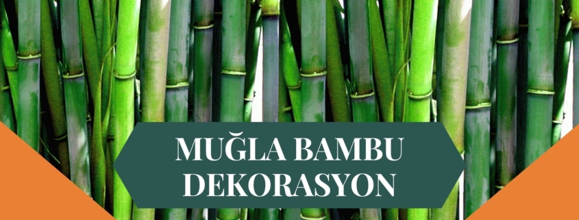 MUĞLA BAMBU DEKORASYON, BAMBU DEKORASYON MUĞLA, YAPAY BAMBU DEKORASYON MUĞLA, MUĞLA HASIR BAMBU DEKORASYON, HASIR BAMBU DEKORASYON MUĞLA, MUĞLA YAPAY BAMBU DEKORASYON, MUĞLA BAMBU EV DEKORASYON, BAMBU EV DEKORASYON MUĞLA