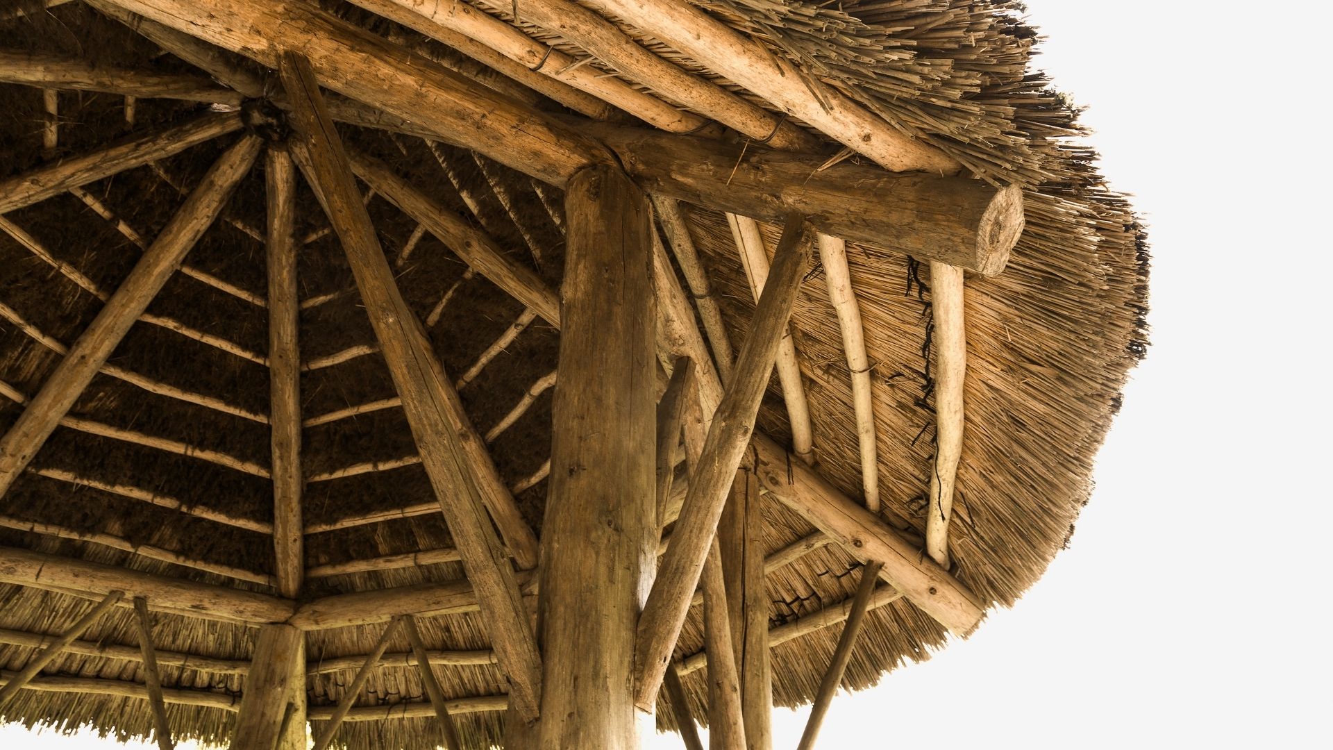 ÇANAKKALE BAMBU DEKORASYON, BAMBU DEKORASYON ÇANAKKALE, YAPAY BAMBU DEKORASYON ÇANAKKALE, ÇANAKKALE HASIR BAMBU DEKORASYON, HASIR BAMBU DEKORASYON ÇANAKKALE, ÇANAKKALE YAPAY BAMBU DEKORASYON, ÇANAKKALE BAMBU EV DEKORASYON, BAMBU EV DEKORASYON ÇANAKKALE